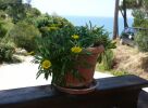 corfu naturism